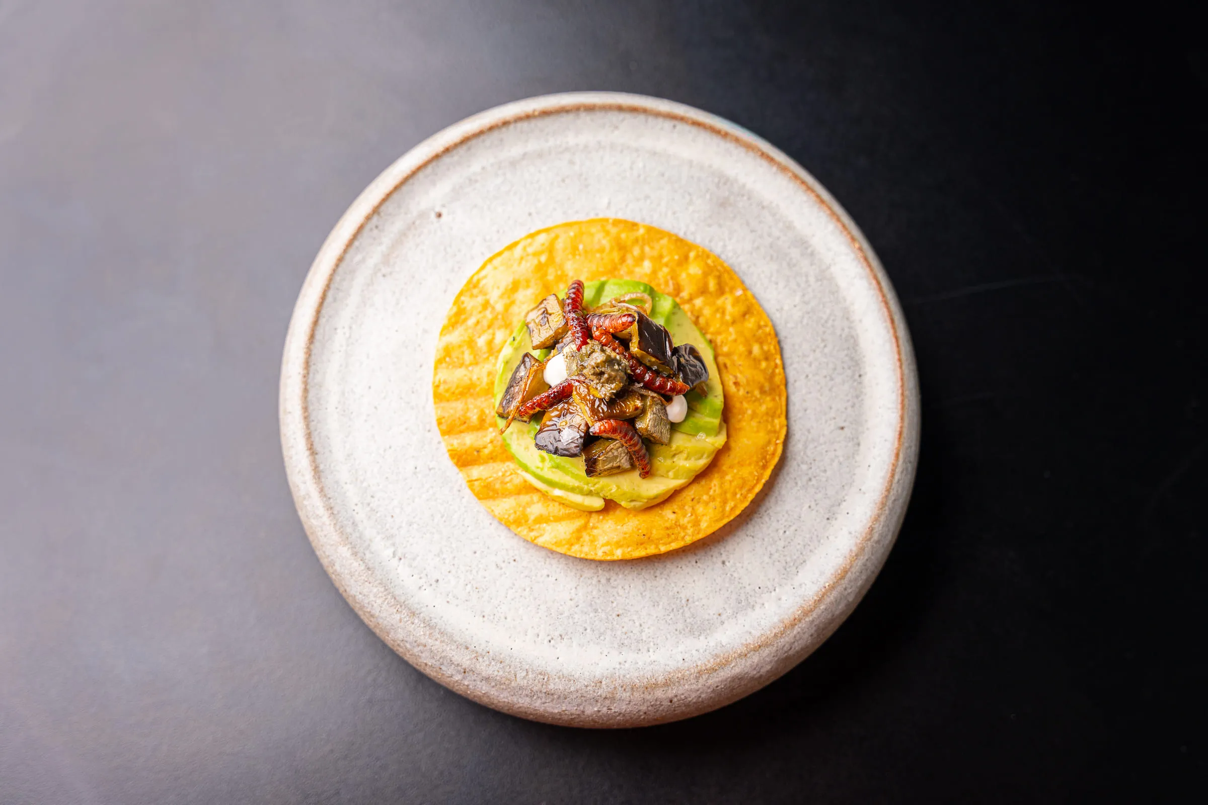 Tostada on speckled stoneware — Food photography by JP Media Groups